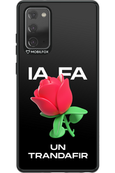 IA Rose Black - Samsung Galaxy Note 20