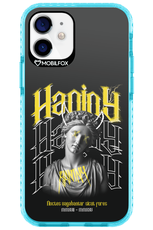 Haniny Icon (black) - Apple iPhone 12