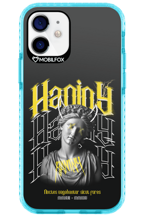 Haniny Icon (black) - Apple iPhone 12