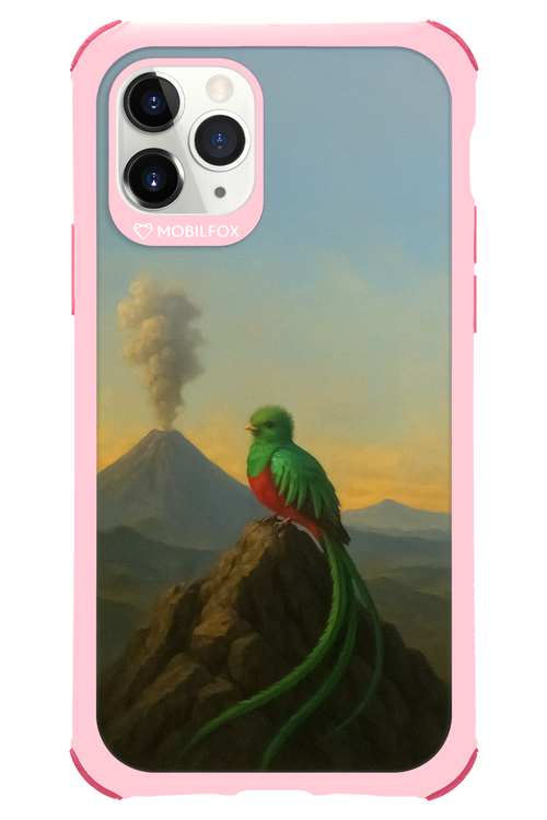 Birdy 2.0 - Apple iPhone 11 Pro