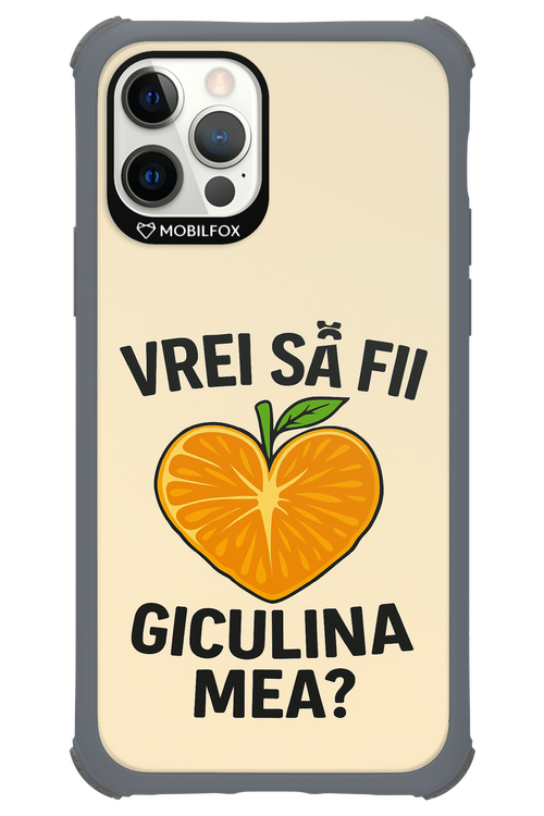 Design Clean 2.0 - Apple iPhone 12 Pro