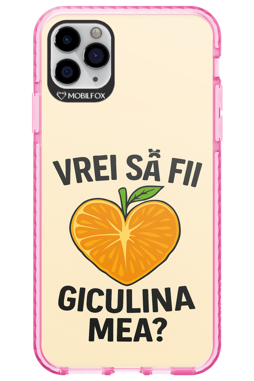 Design Clean 2.0 - Apple iPhone 11 Pro Max