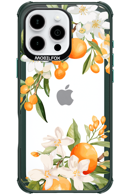 Amalfi Orange 2.0 - Apple iPhone 16 Pro Max