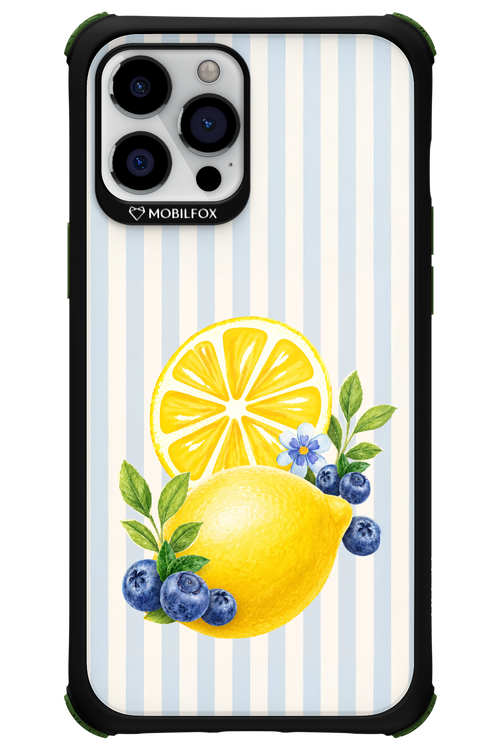 Fresh Flash 2.0 - Apple iPhone 12 Pro Max