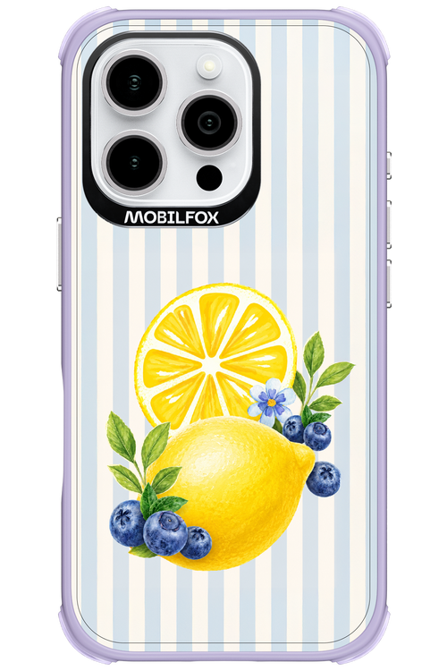 Fresh Flash 2.0 - Apple iPhone 16 Pro