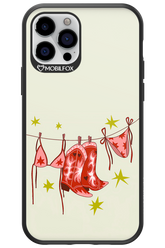 Laundry 2.0 - Apple iPhone 12 Pro