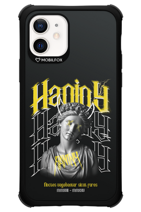 Haniny Icon (black) - Apple iPhone 12