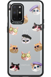 Cat Gang - OnePlus 8T