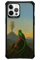 Birdy 2.0 - Apple iPhone 12 Pro Max