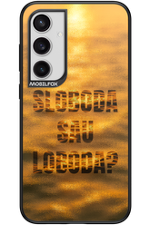 S or L - Samsung Galaxy S24+