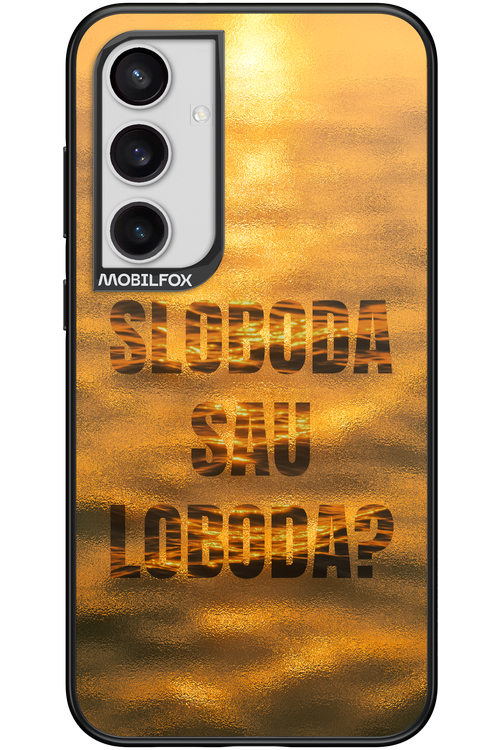 S or L - Samsung Galaxy S24+