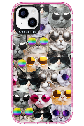 Cat World - Apple iPhone 14 Plus