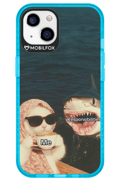 Responsibilities - Apple iPhone 13