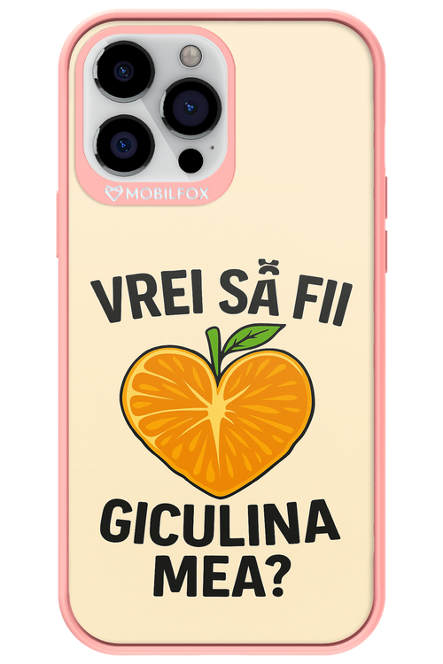 Design Clean 2.0 - Apple iPhone 13 Pro Max
