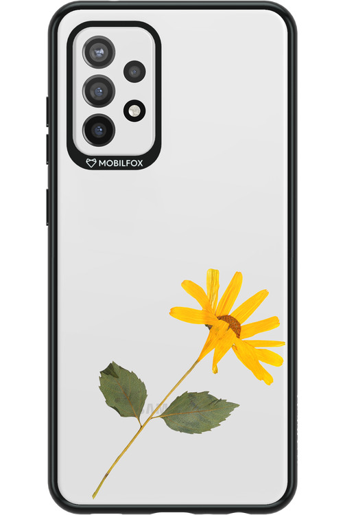 Pressed Flower - Samsung Galaxy A72
