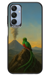 Birdy 2.0 - Samsung A25