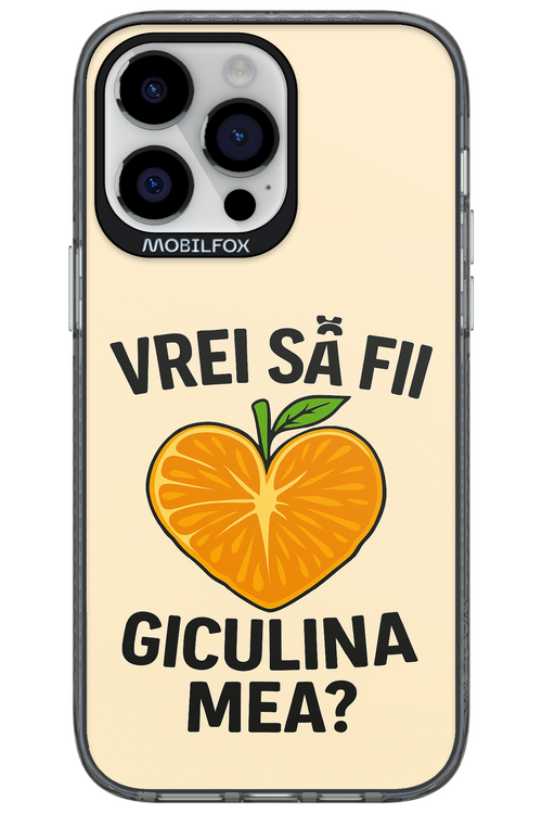 Design Clean 2.0 - Apple iPhone 14 Pro Max