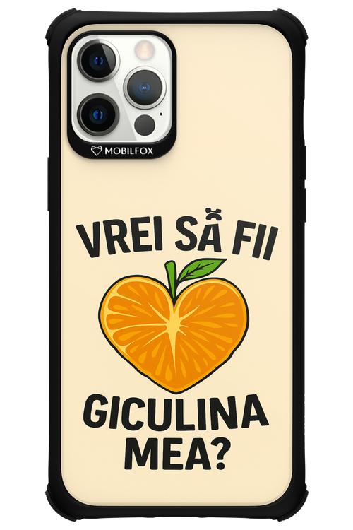 Design Clean 2.0 - Apple iPhone 12 Pro Max