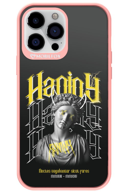 Haniny Icon (black) - Apple iPhone 13 Pro Max