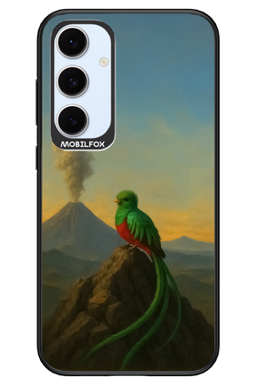 Birdy 2.0 - Samsung S24 FE