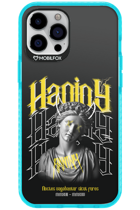 Haniny Icon (black) - Apple iPhone 12 Pro Max
