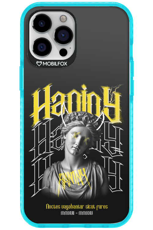 Haniny Icon (black) - Apple iPhone 12 Pro Max