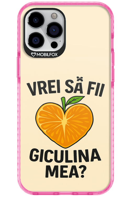 Design Clean 2.0 - Apple iPhone 12 Pro Max