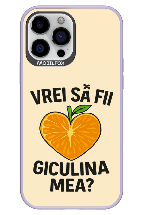 Design Clean 2.0 - Apple iPhone 13 Pro Max