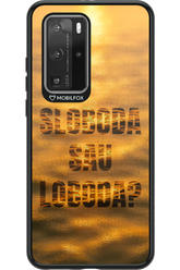 S or L - Huawei P40 Pro