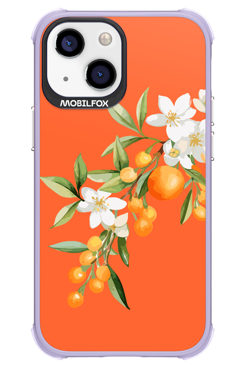 Amalfi Oranges - Apple iPhone 13 Mini