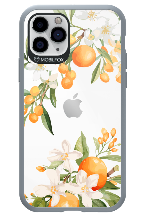 Amalfi Orange 2.0 - Apple iPhone 11 Pro