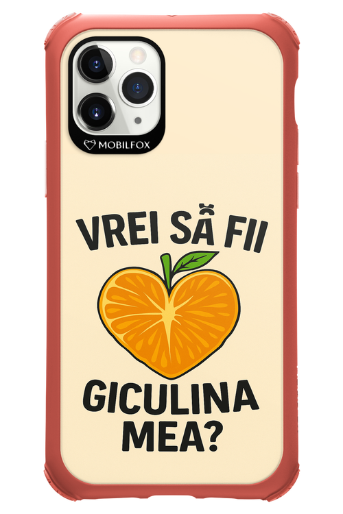 Design Clean 2.0 - Apple iPhone 11 Pro