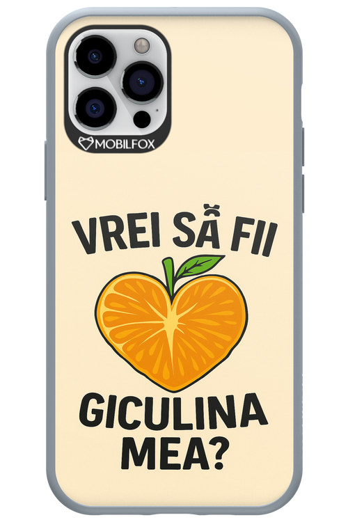Design Clean 2.0 - Apple iPhone 12 Pro