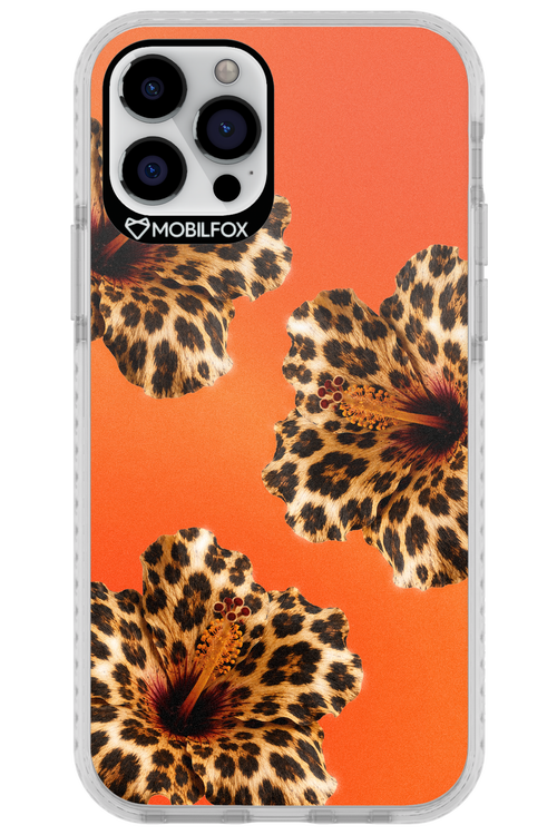 Sun Purr 2.0 - Apple iPhone 12 Pro
