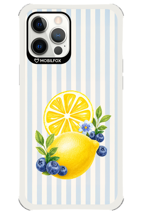 Fresh Flash 2.0 - Apple iPhone 12 Pro Max