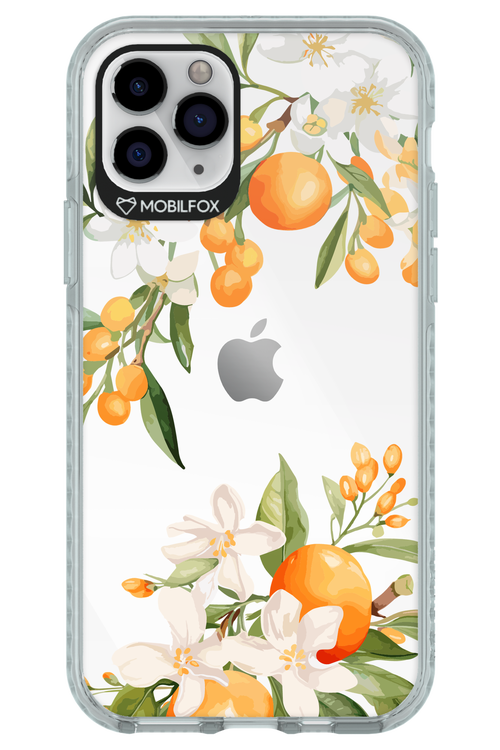 Amalfi Orange 2.0 - Apple iPhone 11 Pro