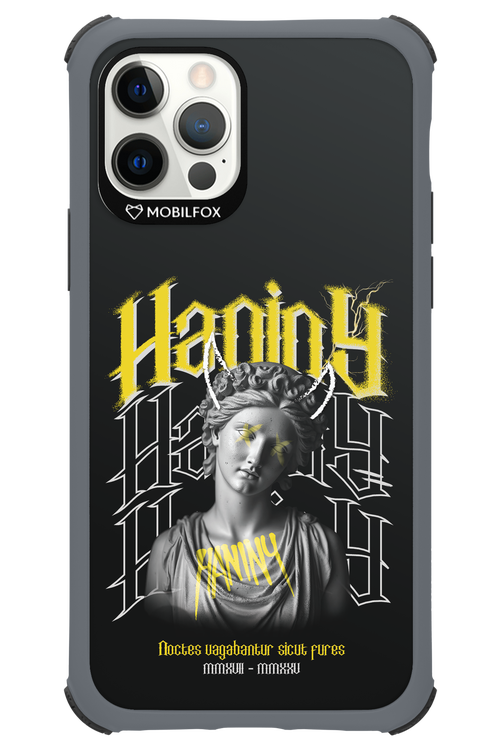 Haniny Icon (black) - Apple iPhone 12 Pro