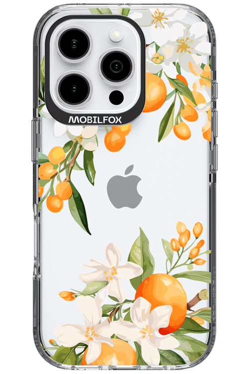 Amalfi Orange 2.0 - Apple iPhone 16 Pro