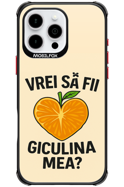 Design Clean 2.0 - Apple iPhone 16 Pro Max