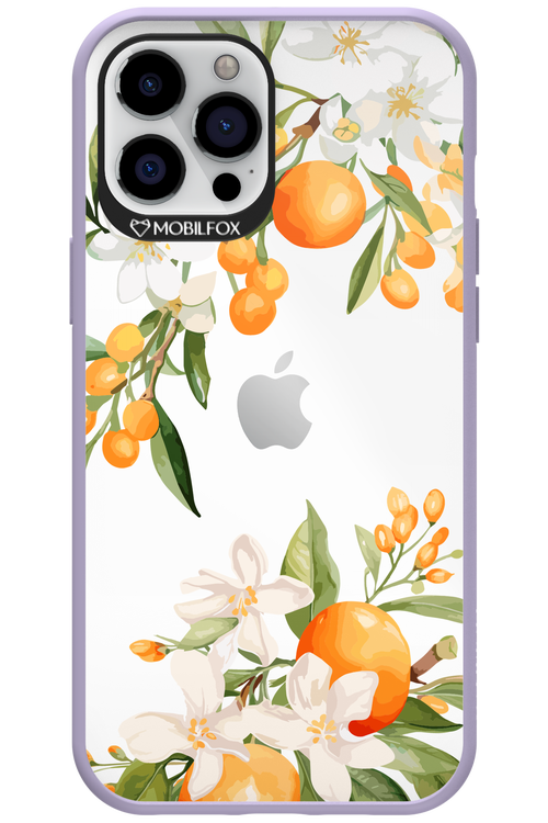 Amalfi Orange - Apple iPhone 12 Pro Max