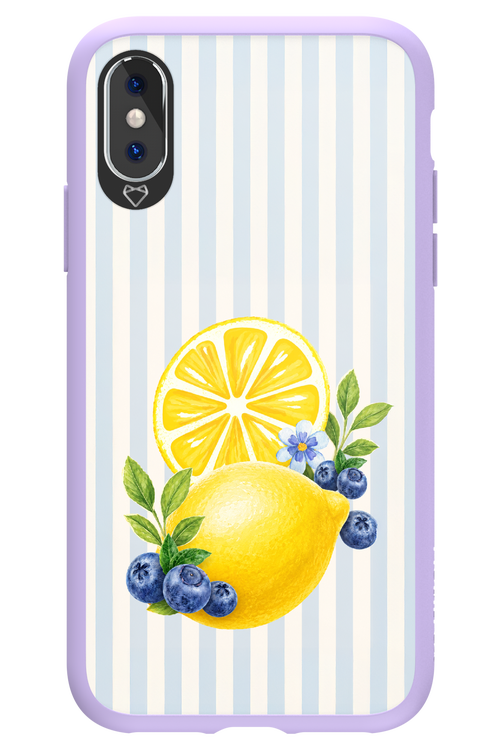 Fresh Flash 2.0 - Apple iPhone X