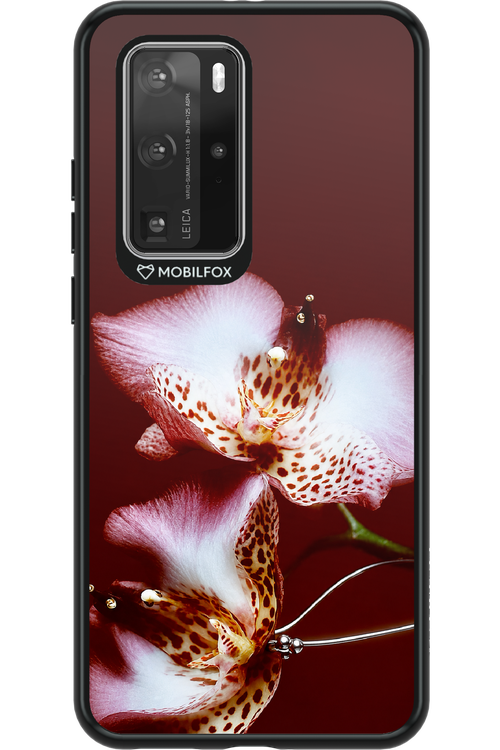 Leobloomy 2.0 - Huawei P40 Pro