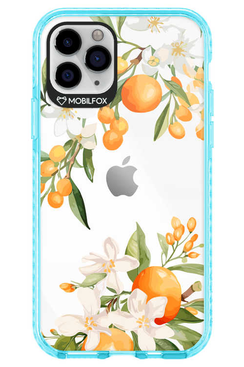 Amalfi Orange 2.0 - Apple iPhone 11 Pro