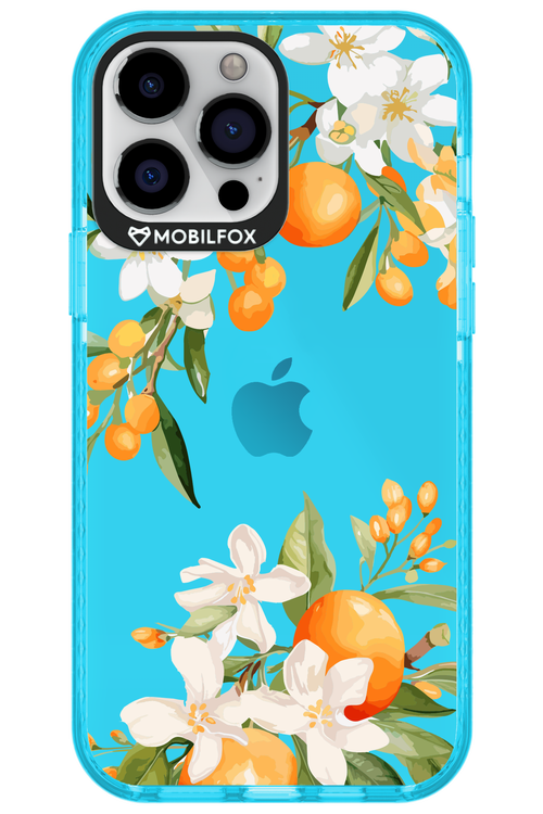 Amalfi Orange 2.0 - Apple iPhone 13 Pro Max