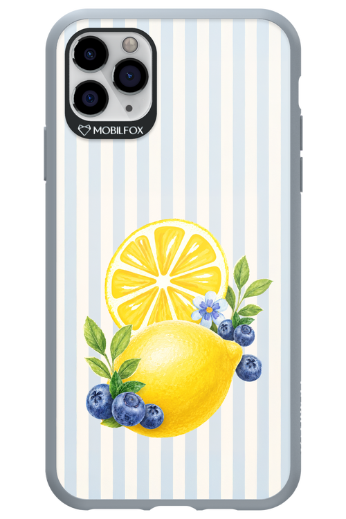 Fresh Flash 2.0 - Apple iPhone 11 Pro Max