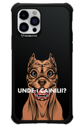 Unde-i Cainilii - Apple iPhone 12 Pro