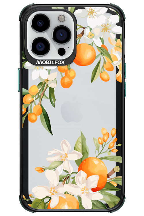 Amalfi Orange 2.0 - Apple iPhone 13 Pro Max