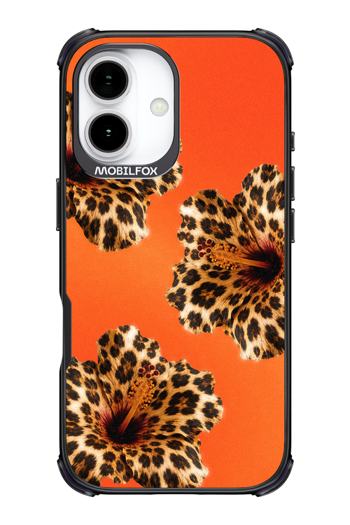 Sun Purr 2.0 - Apple iPhone 17