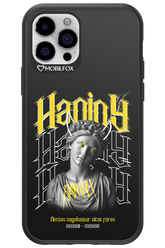 Haniny Icon (black) - Apple iPhone 12 Pro