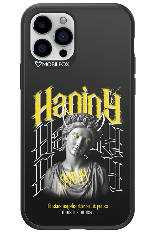 Haniny Icon (black) - Apple iPhone 12 Pro